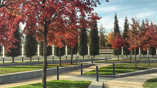 В Краснодаре и крае 31 октября погода подарит золотую осень: малооблачно, до +20°С и без дождя
