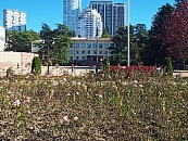 Сочи планирует бюджет 2026 с дефицитом 1,8 млрд без кредитов