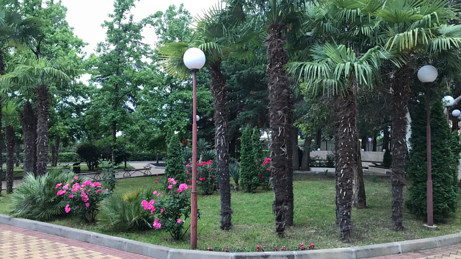 В Сочи, а также на курортах Кубани 26 октября ожидается облачная погода с кратковременными дождями и порывистым ветром