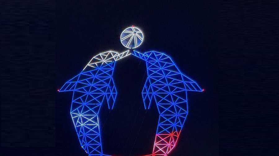 Новую подстанцию со светящимися дельфинами запустили на обходе Адлера