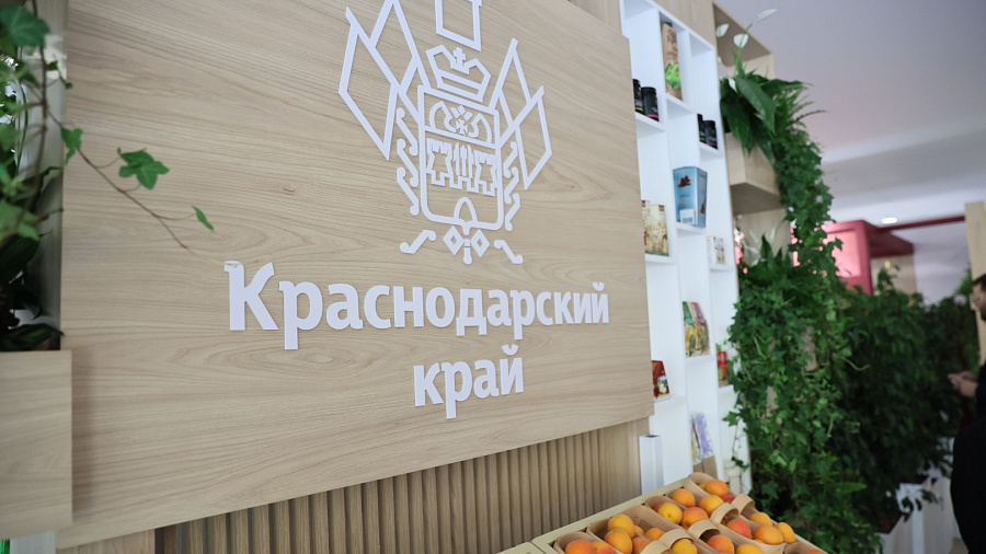 Делегация Краснодарского края начала работу на Петербургском международном экономическом форуме