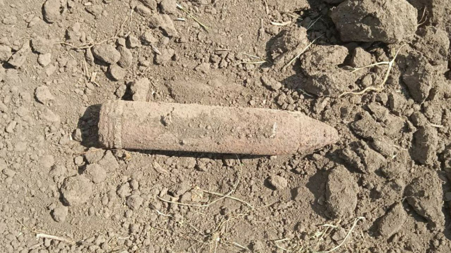В Краснодарском крае в винограднике нашли боеприпас времен войны