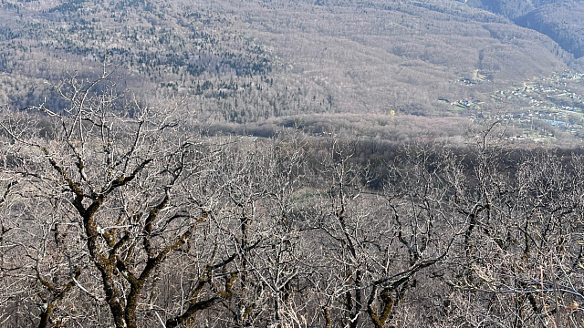 В районе Даховской, а также горных курортах Адыгеи и Кубани в четверг погода отметится резкими перепадами температуры и ветром до 19 м/с
