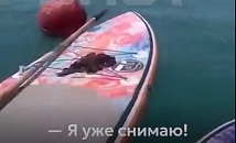 iPhone упал в море в Туапсе и стал звездой подводного шоу с крабом
