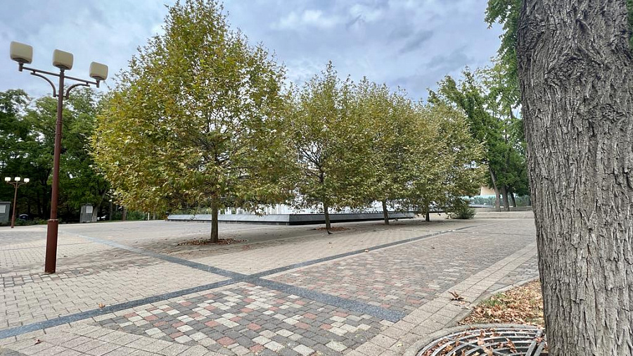 В Краснодаре и крае в середине рабочей недели погода ожидается ветреной с грозовыми дождями и температурой +20°С