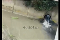 В Сириусе «закладчик», убегая от полицейских, «нырнул» в канализационную трубу