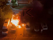 Жителей Анапы напугало горящее дерево и искрящиеся провода 