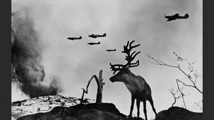 В Краснодаре откроется выставка легендарного советского фотографа «Евгений Халдей. Фотолетопись»