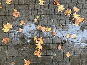 В Краснодаре и крае в начале недели ожидается неустойчивая погода с дождём, мокрым снегом в горах и порывами ветра до 24 м/с