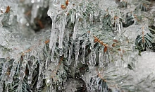 В Якутии ударили рекордные морозы -56 градусов