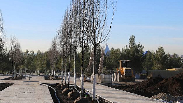 В Геленджике создают парк на 65 гектарах с 100 тысячами растений