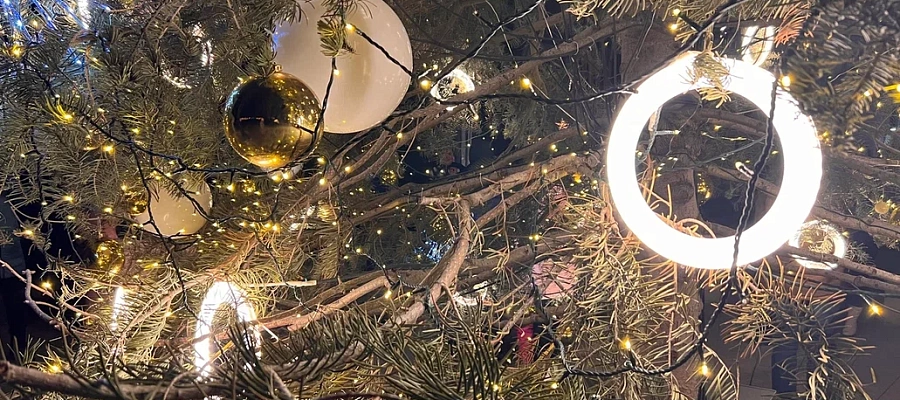 Новый год в пятизвездочных отелях Кубани: цены шокируют туристов