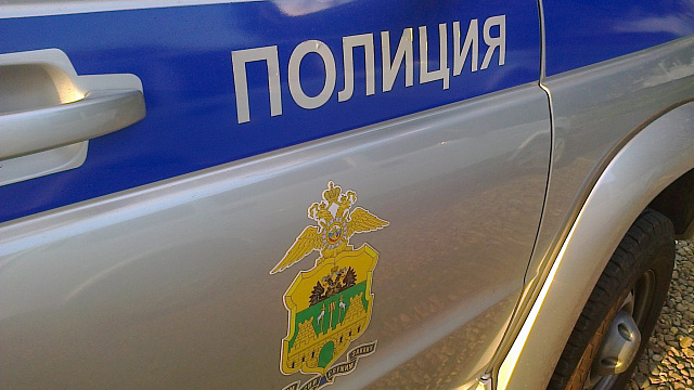 После убийства благородного оленя в Кореновском районе возбуждено уголовное дело