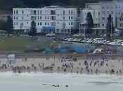 Сочинцы покинули пляж Бонди за 13 минут до расстрела 16 человек на Хануке в Сиднее
