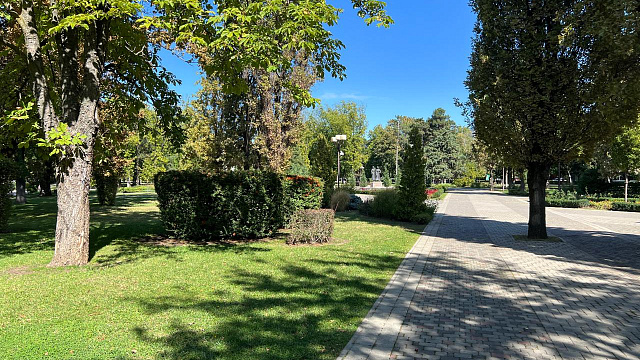 В Краснодаре и крае в середине недели прогнозируют теплую погоду до +28°С с утренними туманами и усилением ветра