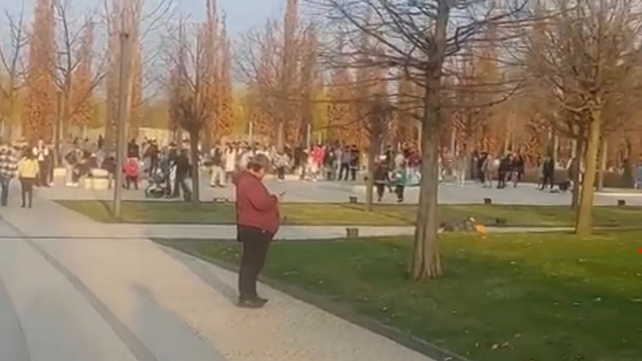 «Просто кошмар какой-то»: жители Краснодара жалуются на огромные толпы отдыхающих в парке Галицкого