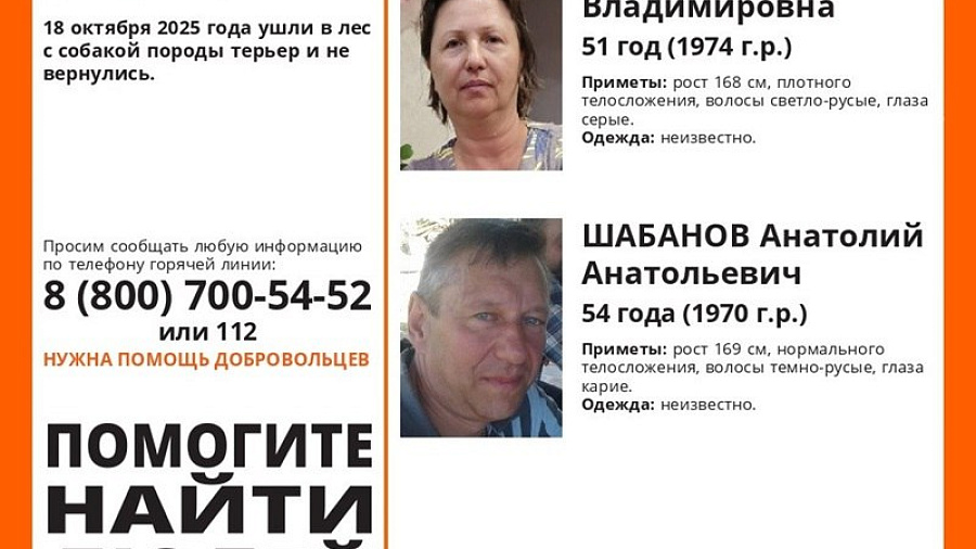 В Северском районе четвертый день ищут пропавших грибников 