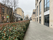 В Краснодаре и крае в середине недели погода сохранит облачный характер с ночными дождями и дневным теплом до +7°С