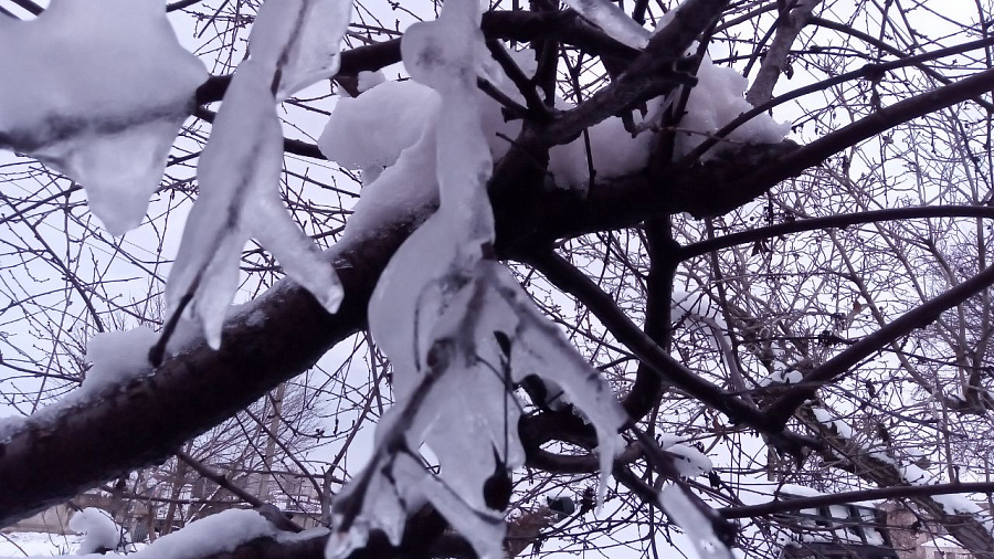 Кубань ждет потепление до +16 градусов после аномальных морозов