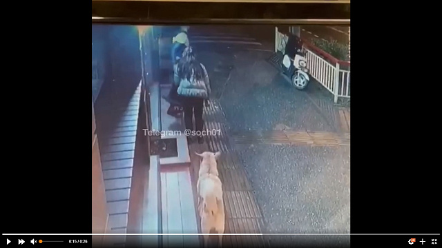 Эпичная кража статуи повара возле закусочной в Сочи попала на видео