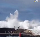 В Горячем Ключе от отравления грибами пострадали 11 человек