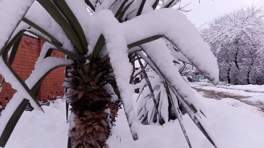 Непогода накроет Сочи на Новый год