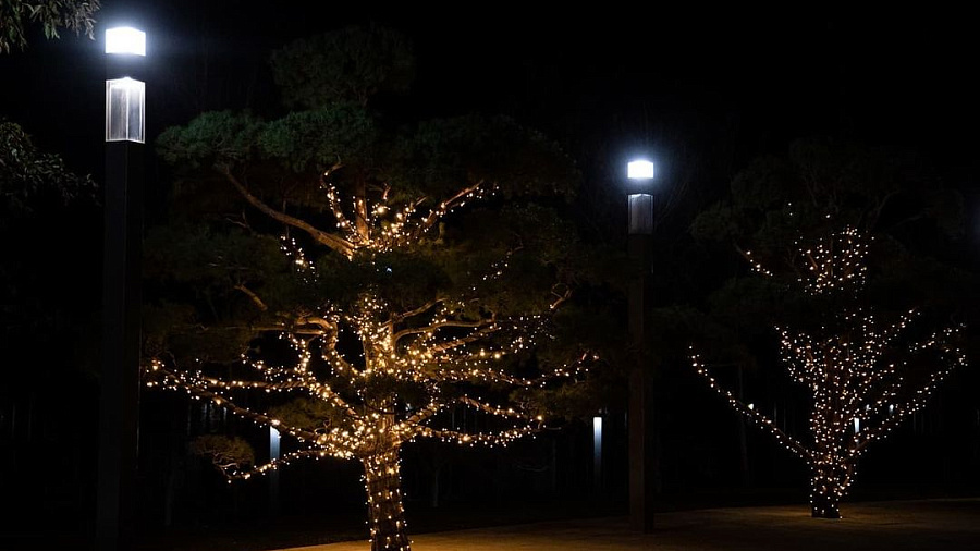 На деревьях в парке «Краснодар» включили новогоднюю иллюминацию