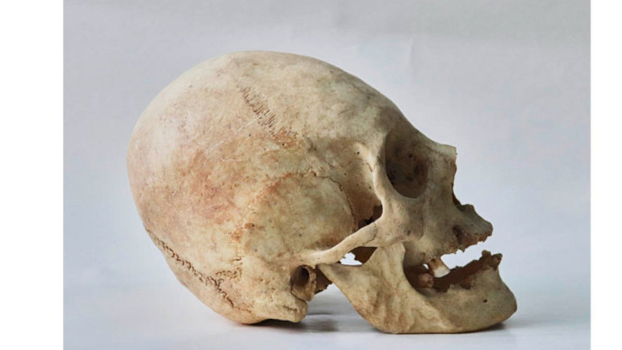 В Краснодаре представят старинный череп ираноязычного кочевника с искусственной деформацией
