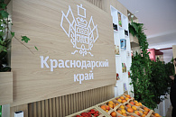 Делегация Краснодарского края начала работу на Петербургском международном экономическом форуме