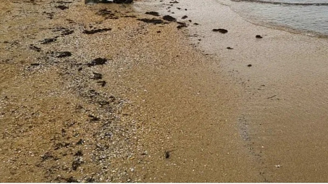 Новые следы мазута обнаружены на побережье Анапы