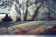 В Краснодаре 24 января откроется выставка «Хрупкие сезоны»