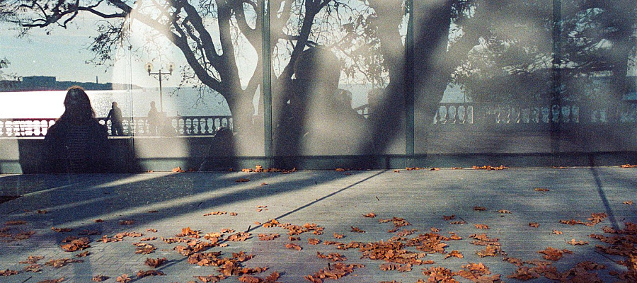 В Краснодаре 24 января откроется выставка «Хрупкие сезоны»