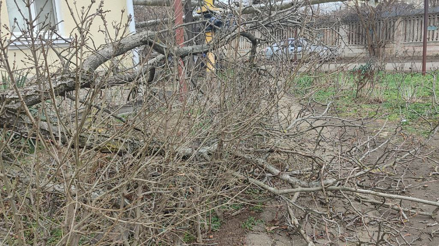 Шквалистый ветер в Краснодаре сносит с ног горожан