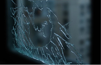 В Краснодаре откроется выставка «75», приуроченная к юбилею известного художника Кубани Геннадия Квашуры