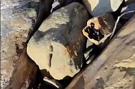 На пляже «Высокий берег» в Анапе зафиксировали новые пятна мазута