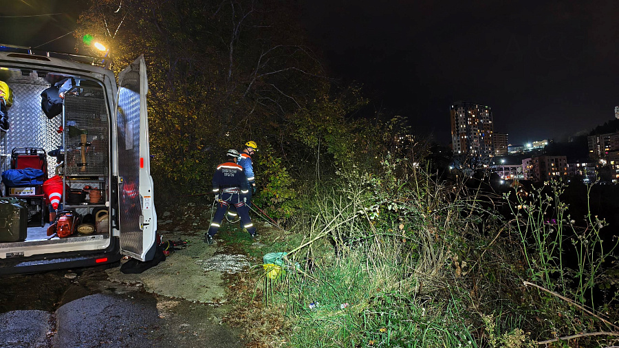 Ночью в Сочи супруги сорвались с крутого обрыва в заросли колючек