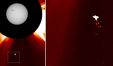 Неизвестную птицу ученые заметили рядом с Солнцем 