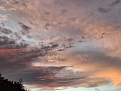 Бывший вице-мэр Краснодара Нетреба предстанет перед судом по делу о мошенничестве