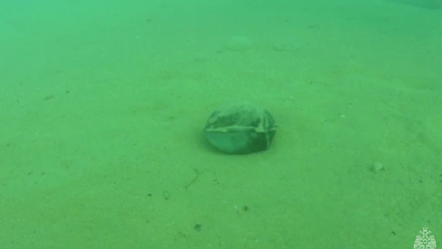 В Севастополе водолазы обнаружили на дне моря неразорвавшийся боеприпас