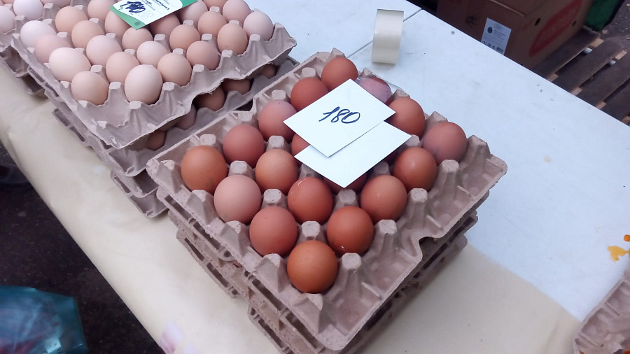 Стало известно, когда в Краснодарском крае начнут продавать турецкие яйца 