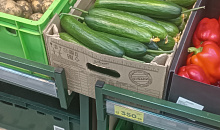 В Краснодаре цены на огурцы стремительно взлетели 