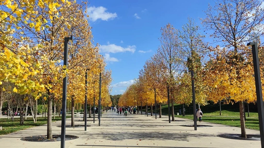 Парк Галицкого в Краснодаре вошел в топ-7 мест России, которые нужно посетить