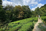 В Сочи запустили трехуровневый квест-маршрут для любителей приключений