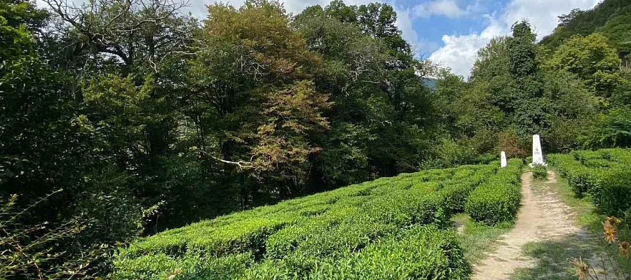 В Сочи запустили трехуровневый квест-маршрут для любителей приключений