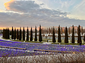 Прокуратура остановила закупку электрокара за 5,6 млн рублей для чиновников Кубани