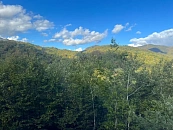 Нацпарк Сочи заберет 3 тысячи новых земельных участков для создания научного полигона