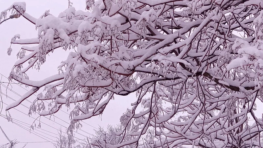 Апшеронский район оказался в каменном веке без света, связи и интернета