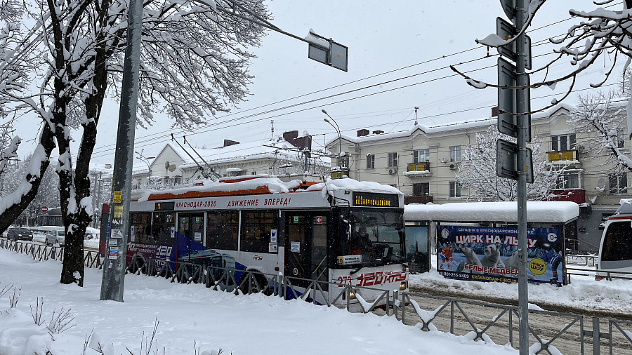 В центре Краснодара из-за повреждения контактной сети встали троллейбусы