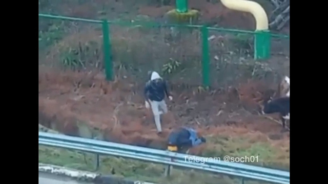 Видео: в Сочи двое школьников вытащили теленка из глубокой ямы 