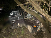В Краснодарском крае водитель ВАЗа погиб в ДТП с деревом